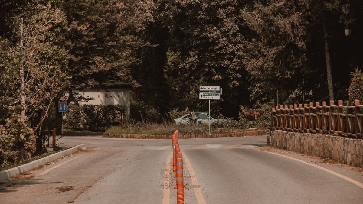 A peaceful rural intersection lined with orange traffic cones, surrounded by dense forest. Ideal for travel or road safety themes.
